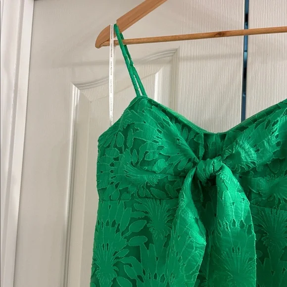 Lilly Pulitzer Fauna Green Dress - Picture 4 of 7